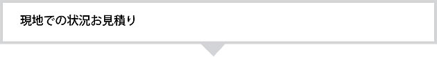 現地での状況お見積り
