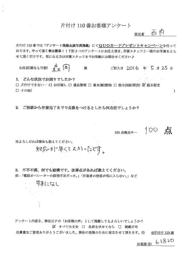 【山口市】ハナミズキの剪定ご希望 森岡さま(女性)